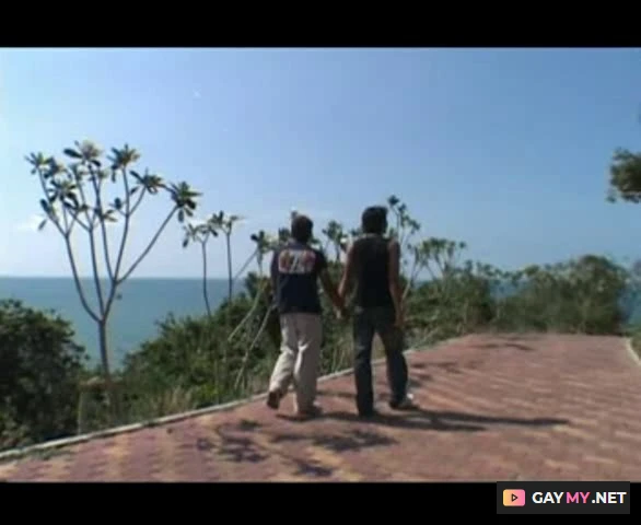 Cover Boy 2 (DVDRip)