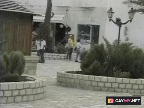 Ali, Karim, Mohamed, Said, Youssef, Rachid, Moustafa Arabian Pleasures (DVDRip)