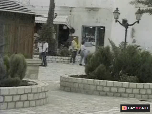 Ali, Karim, Mohamed, Said, Youssef, Rachid, Moustafa Arabian Pleasures (DVDRip)