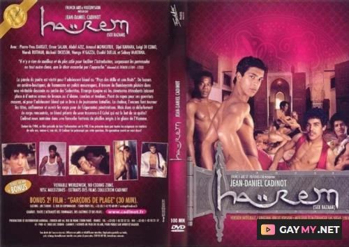 Harem Sex Bazaar (DVDRip)