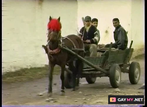 Turk Gipsy Village Guys Solo (SD)