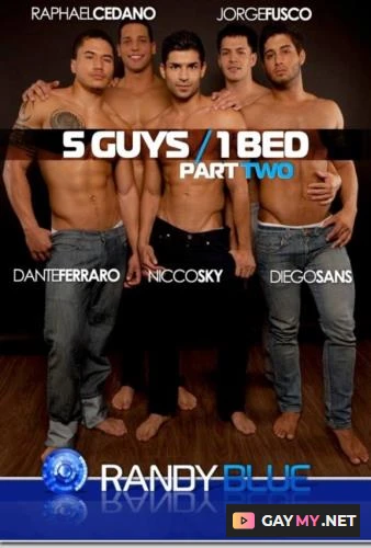 5 Guys, 1 Bed part 2 (SD)