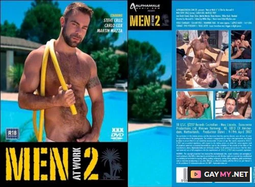 Men at Work 2 (DVDRip)