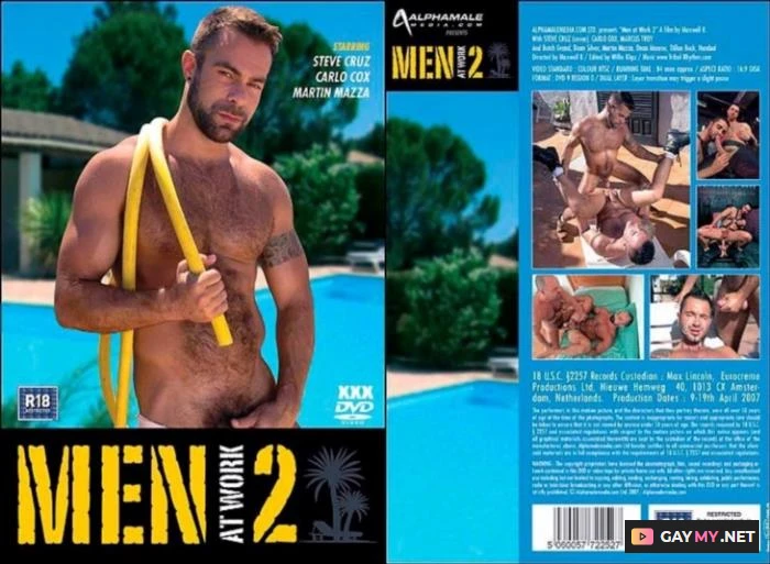 Men at Work 2 (DVDRip)