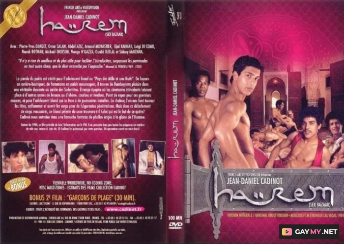 Harem Sex Bazaar (DVDRip)