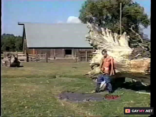 Roll in the Hay (DVDRip)