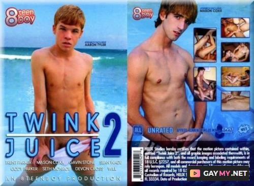 Twink Juice 2 (DVDRip)