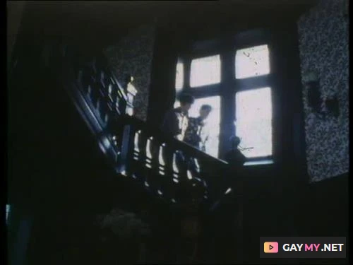 Les Minets Sauvages (DVDRip)