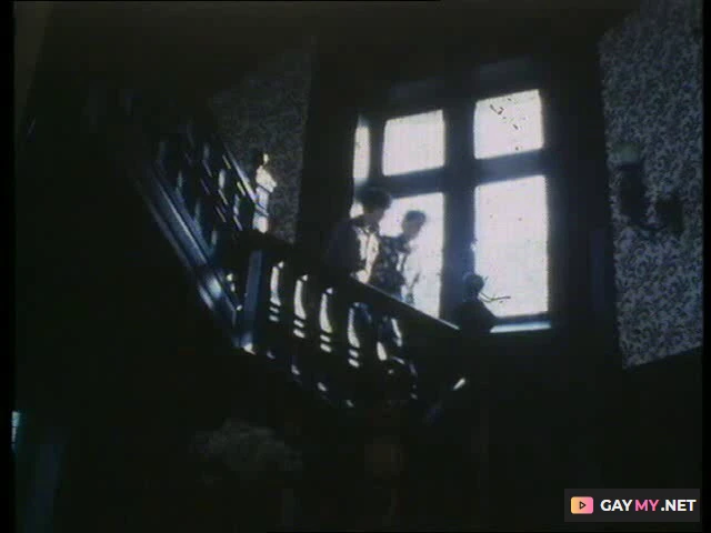 Les Minets Sauvages (DVDRip)