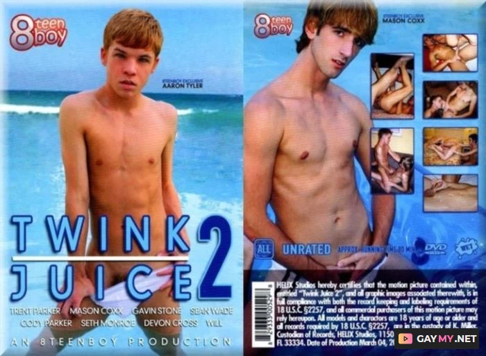 Twink Juice 2 (DVDRip)