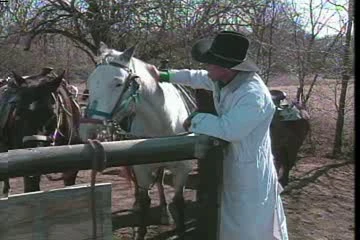 The Best of Playgirl Video (DVDRip)