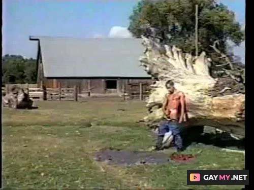 Roll in the Hay (DVDRip)