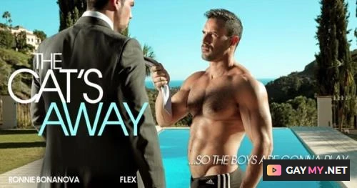 The Cat's Away (HD 720p)
