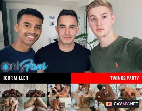 Twinks Party (HD 720p)