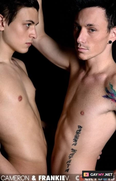 Cameron & Frankie V. Make Love (HD 720p)