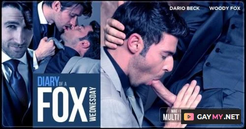 Diary of a Fox Wednesday (HD 720p)