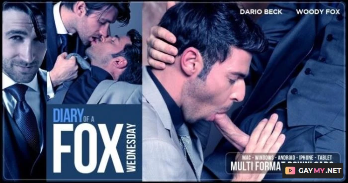 Diary of a Fox Wednesday (HD 720p)