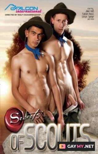 Secrets of Scouts (FullHD 1080p)