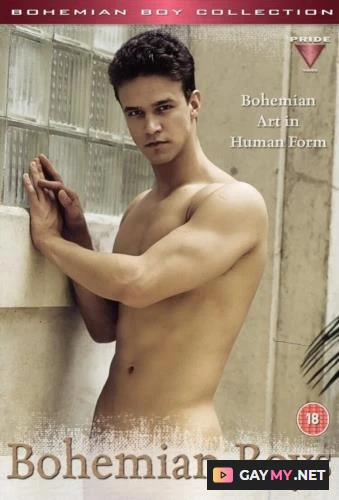 Bohemian Boys (DVDRip)