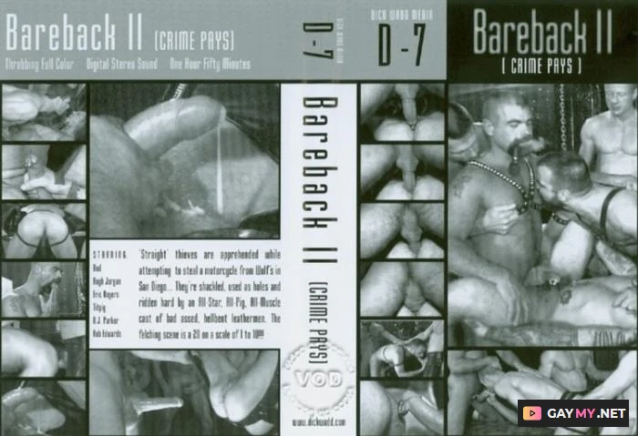 Bareback 2 Crimes Pays (DVDRip)