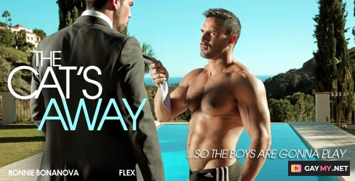 The Cat's Away (HD 720p)
