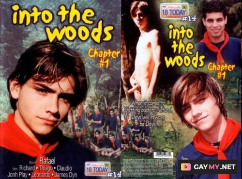 Into The Woods (DVDRip)