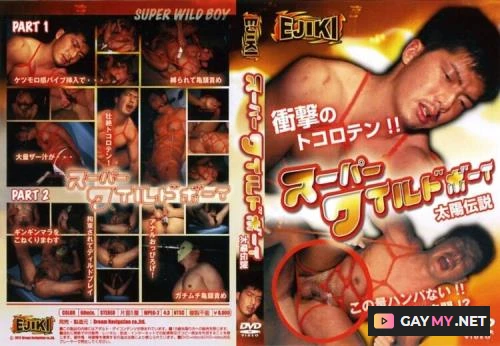 Super Wild Boy - Taiyo's Legend (HDRip)