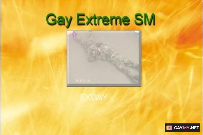 Gay Extreme SM (DVDRip)