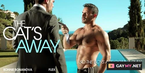 The Cat's Away (HD 720p)