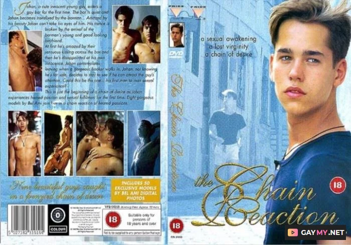 The Chain Reaction (DVDRip)