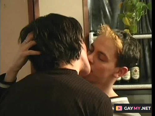 Wilde Schwaenze (DVDRip)