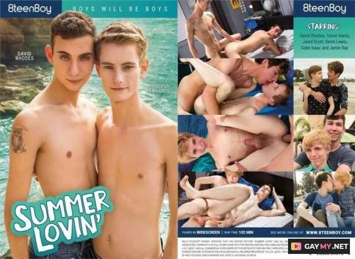 Summer Lovin' (DVDRip)