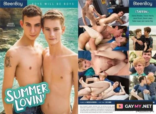 Summer Lovin' (DVDRip)