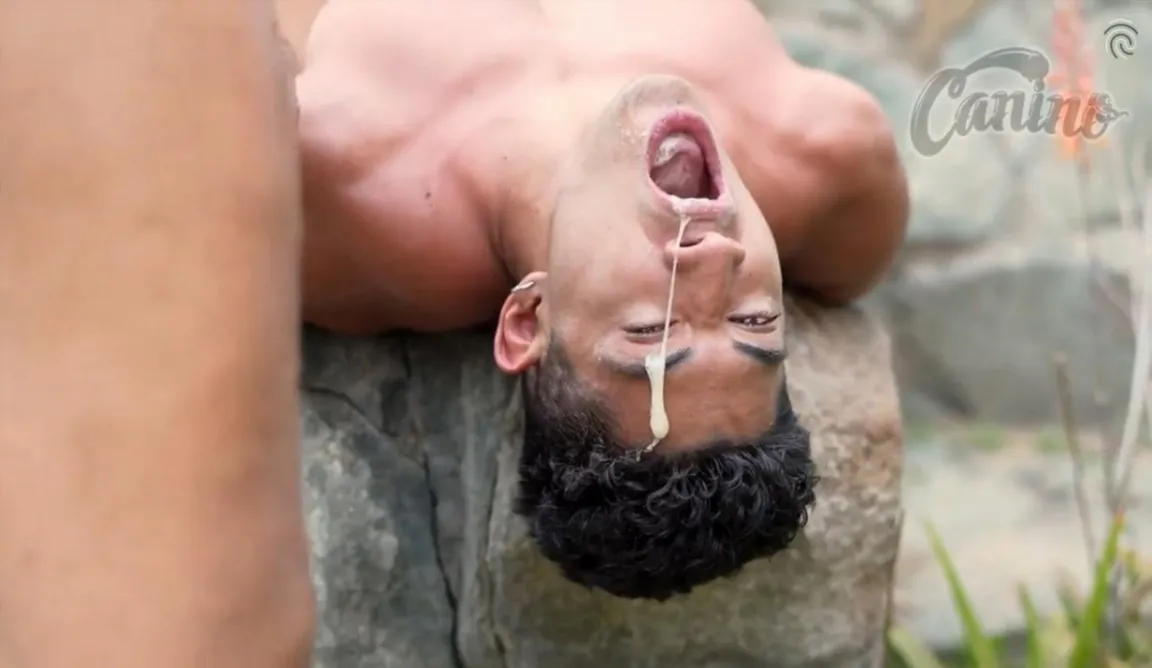 Five Tops Use One Hungry Mouth Outdoors Bareback